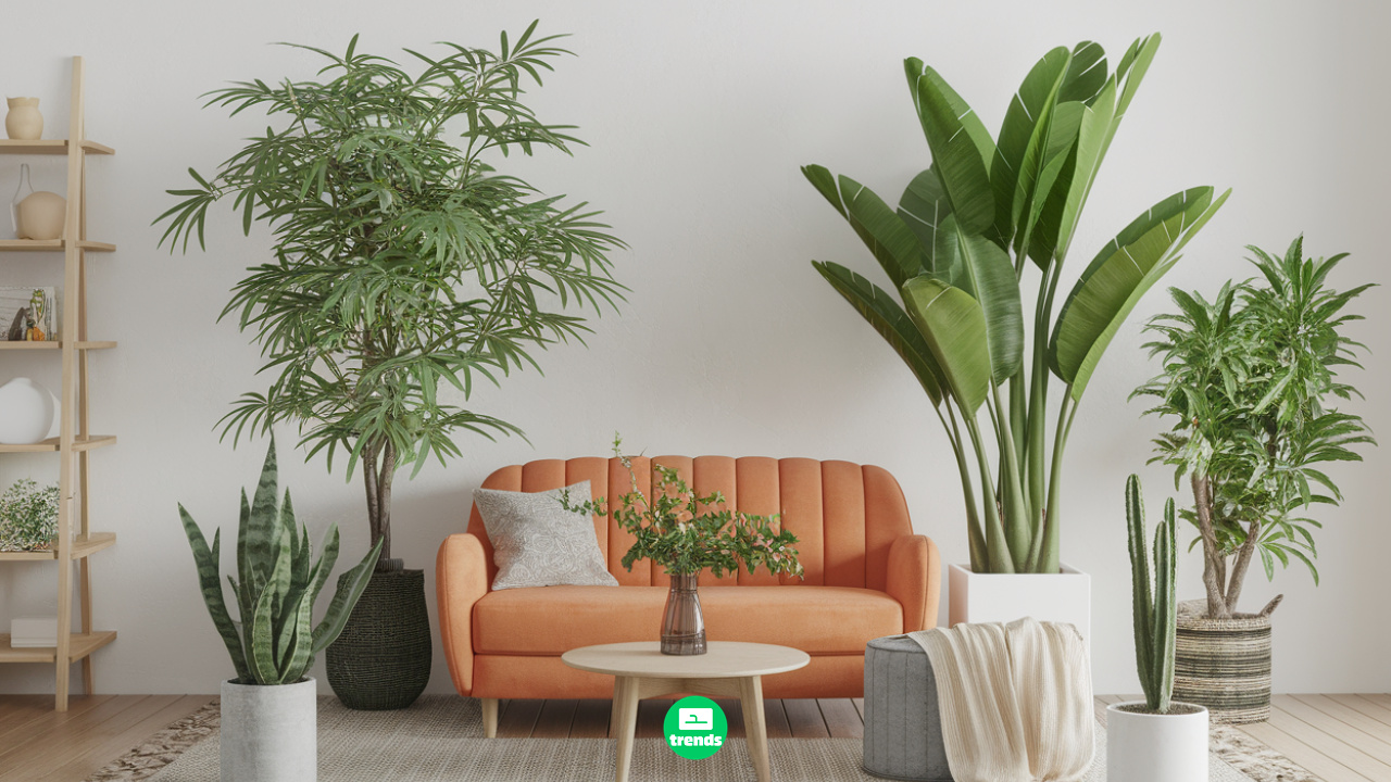 Plantas quase imortais: Veja 8 espécies super resistentes para cultivar em casa